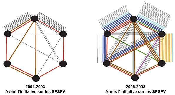 Figure 5 : Copublications des membres des équipes en voie de formation en SPSFV